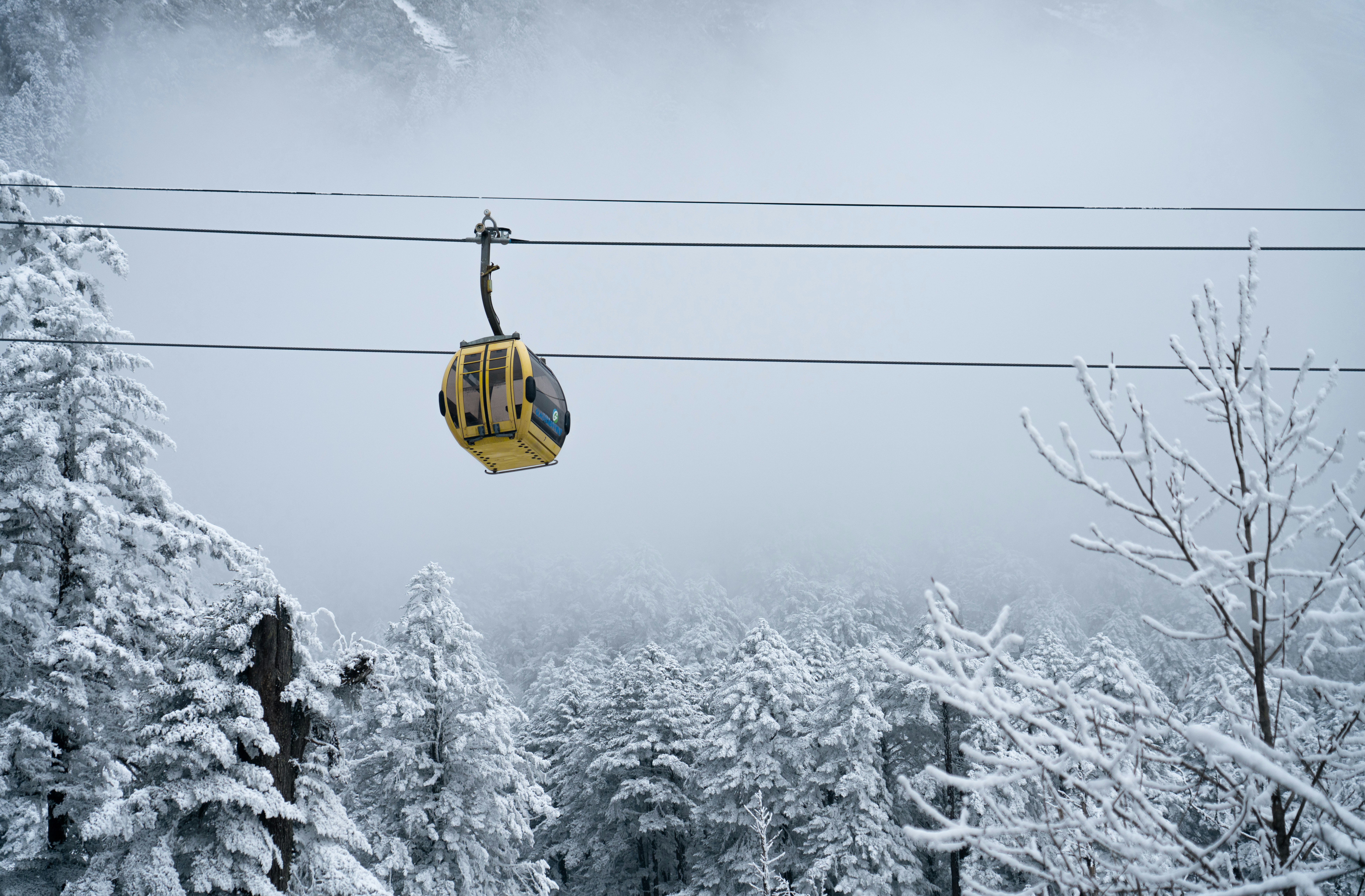 yellow cable car over snow covered trees
